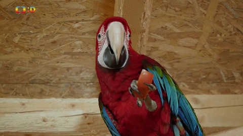 Terčin zvířecí svět - 12. září