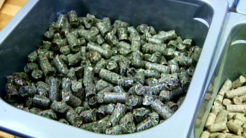 Chalupa je hra - 22. března 2011