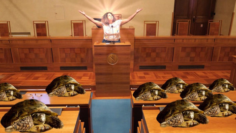 Politika se nás týká - 6. Senát