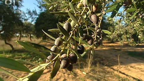 Objektiv - 8. června 2014