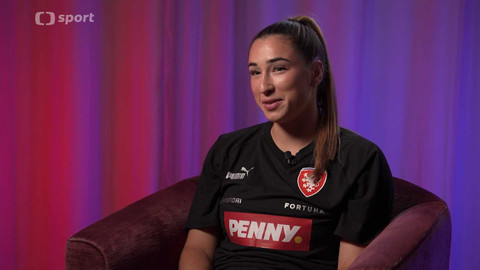 Lvice mimo hřiště - Anna Šubrtová