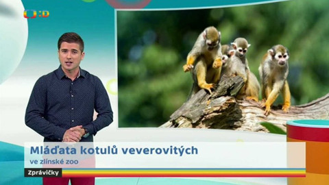 Zprávičky - 13. září 2017