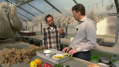 Polopatě - 8. října 2017