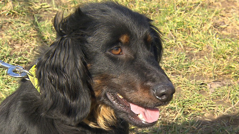 Chcete mě? - Chcete je?