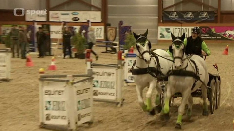 Jezdectví - Jezdecký festival Královice u Slaného