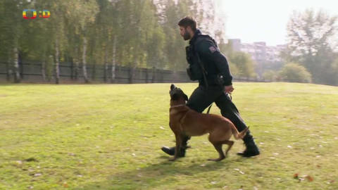 Terčin zvířecí svět - 18. prosince 2020