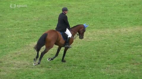 Jezdectví - Finále Zlaté podkovy Humpolec