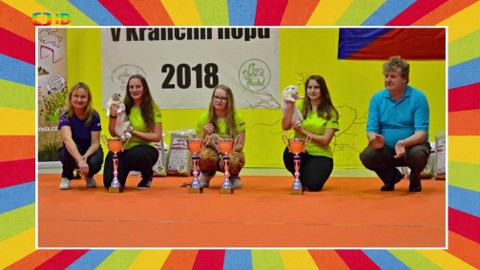 Tamtam - 9. března 2019