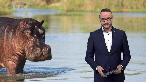 Horizont ČT24 - 25. února 2020