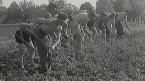 Archiv ČT24 - Všichni na brigádu!