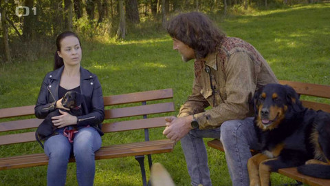 Kočka není pes - Vyděšená Boogie a nezabydlená Taormina