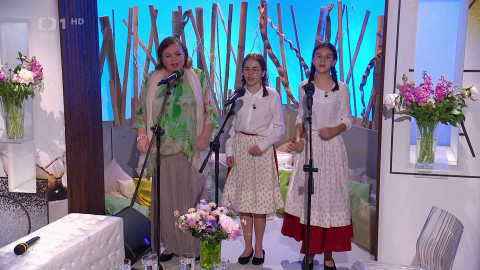 Sama doma - 28. května 2024