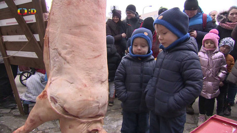 Zprávičky - 25. ledna