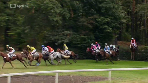 Turf - 12. října 2016