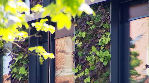 Nedej se! - Hlas pro zelená města