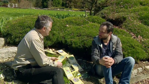 Polopatě - 8. května 2016