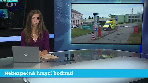 Události v regionech (jih a západ) - 8. července