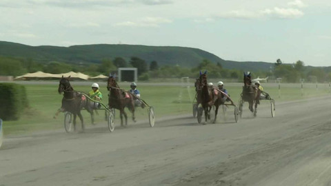 Dostihy - Velká cena primátora hl. m. Prahy