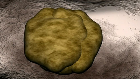 Tep 24 - 2. března 2013