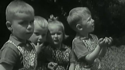 Archiv ČT24 - Děti a rodiče