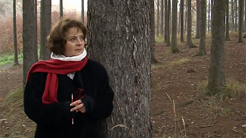 Cesty víry - Radost na dně duše