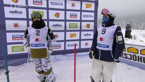 Světový pohár ve freestyle lyžování - Švédsko