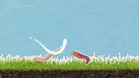 To je něco! - Je pravda, že když se žížala rozdělí na dvě části, stanou se z ní dvě žížaly?