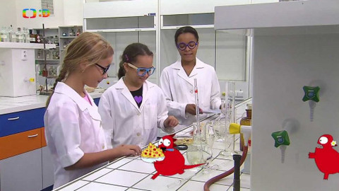 Draci v hrnci - Pro instantní stravu nesmíš ztratit hlavu