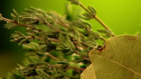 Pod pokličkou - Kdo chce brzy kolíbat, musí správně pojídat