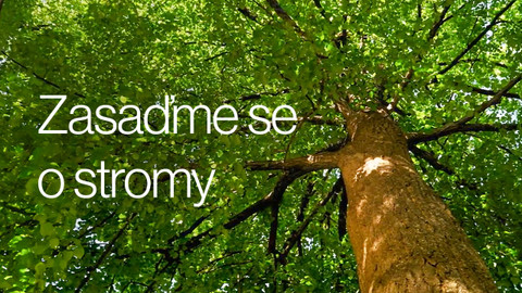 Zasaďme se o stromy