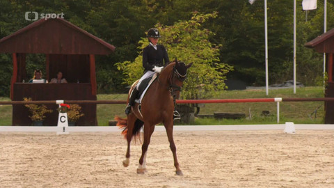 Koně a sport - Koně a sport - souhrn sezony