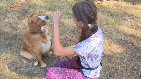 Zprávičky - 30. července