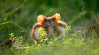 Andy a cesta kolem světa