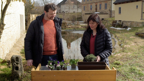 Co naše babičky uměly a na co my jsme zapomněli - Květiny do truhlíku