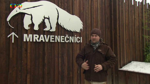 Telefon - 1. dubna 2016