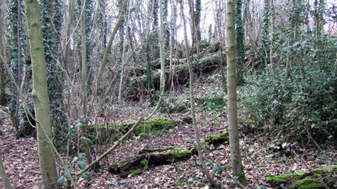 Ostrovy zapomenutého klidu - Vltavský luh