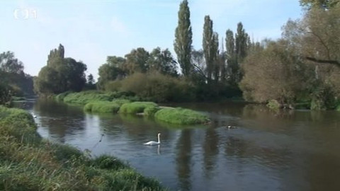 Toulavá kamera - 3. listopadu 2013