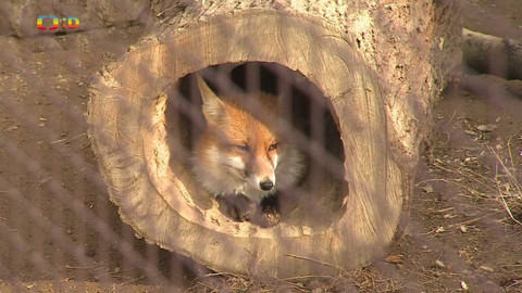 Zprávičky - 4. března 2024