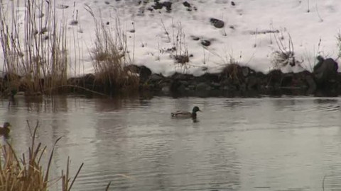 Přidej se - Jak se staví jezero