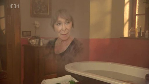 Ententýky - 8/15 Chvíle pro Hanu Hegerovou