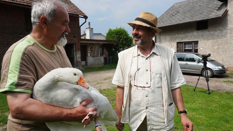 Co Čech, to chovatel - 6/8 Není husa, jako husa
