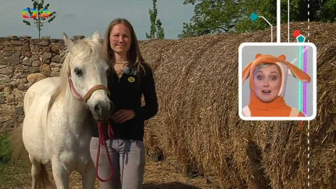 Telefon - 4. září 2015