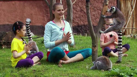 Jogínci na cestách - S jógou za zvířaty