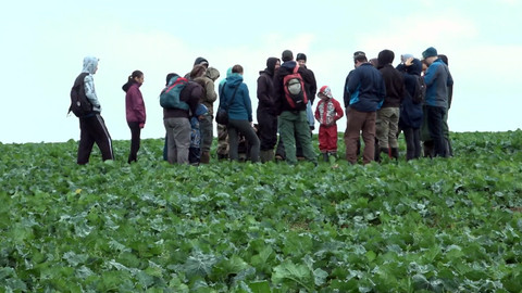 Nedej se! - Otrávená krajina