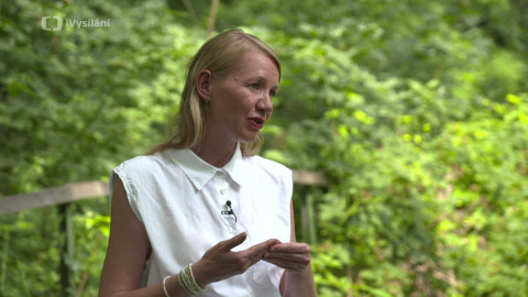 Proudy - 7/12 Koordinace intimity