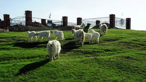 Na cestě - Na cestě po Almaty