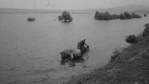 Televizní noviny - 12. srpna 1968