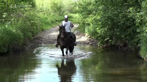 Jezdectví - M ČR a mezinárodní závody ve vytrvalosti CEI Budislavice