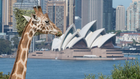 Skvosty světového stavitelství - Veřejné stavby