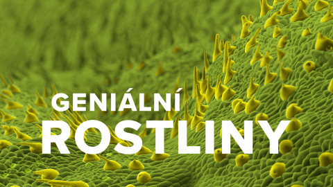 Geniální rostliny